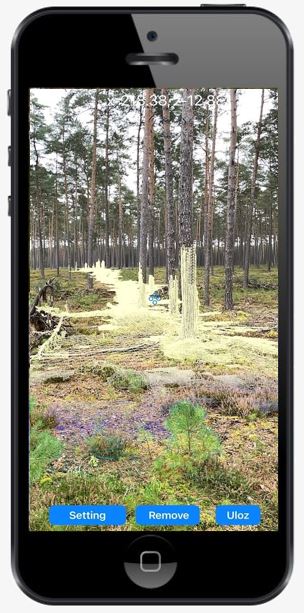 iPhone displaying a forest measurement view among pine trees